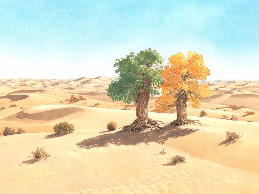 沙漠植物与防风固沙插画
