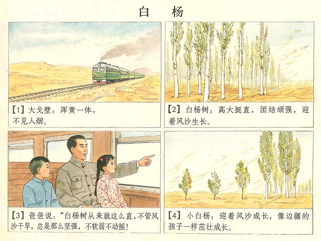 树木与风、种子传播插画