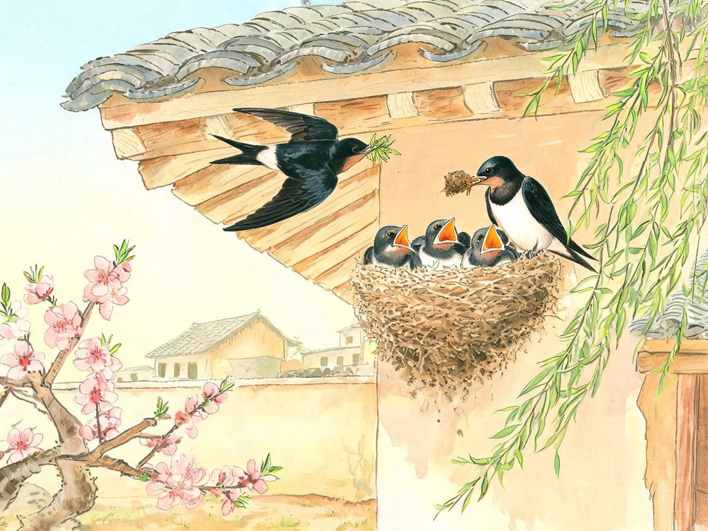 燕子在屋檐下筑巢育雏的场景插画