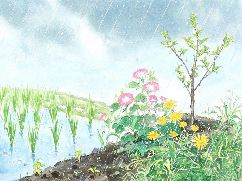 水循环与雨的形成过程插画