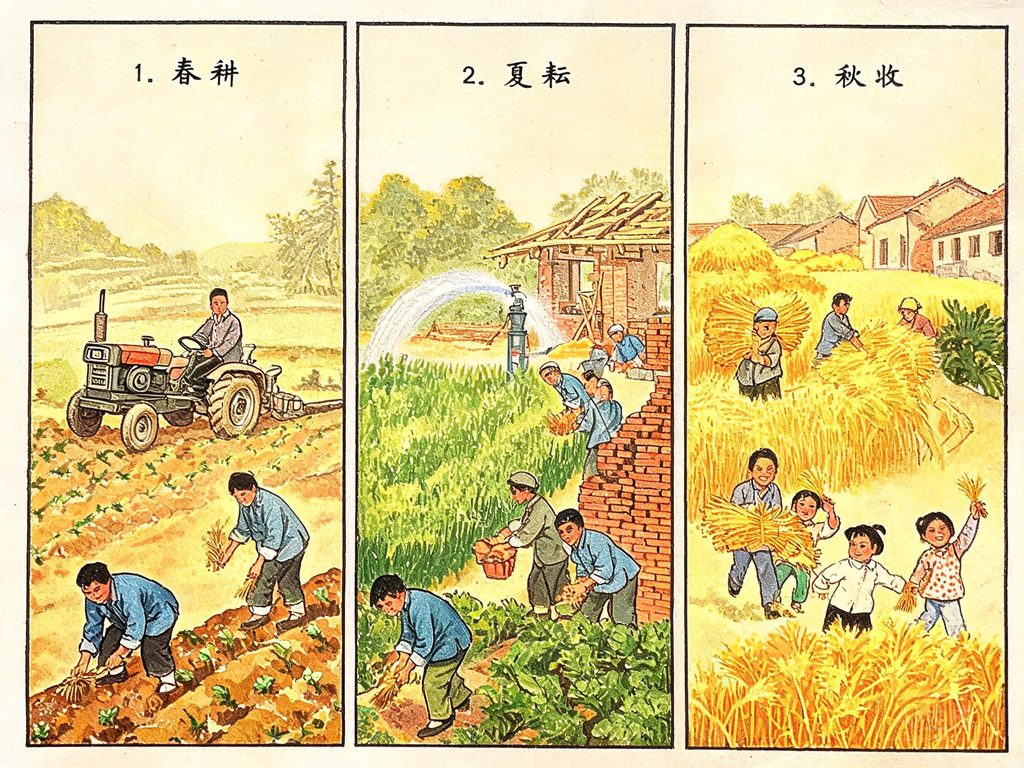中国农村的变迁插画