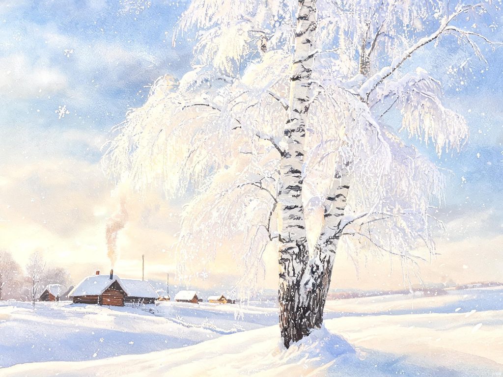 雪中白桦树挺立的画面