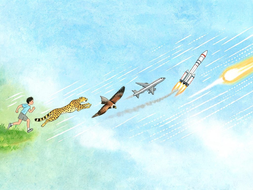 猎豹、飞机、火箭和光的速度对比插画