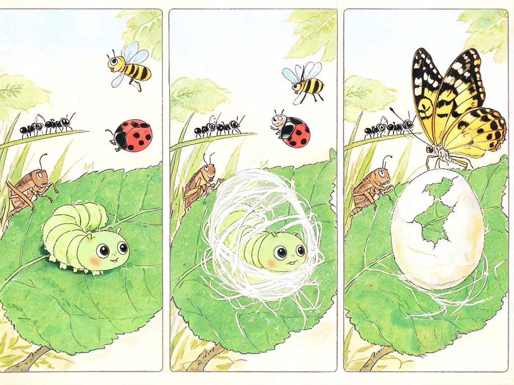 小毛虫结茧后变成蝴蝶的插画