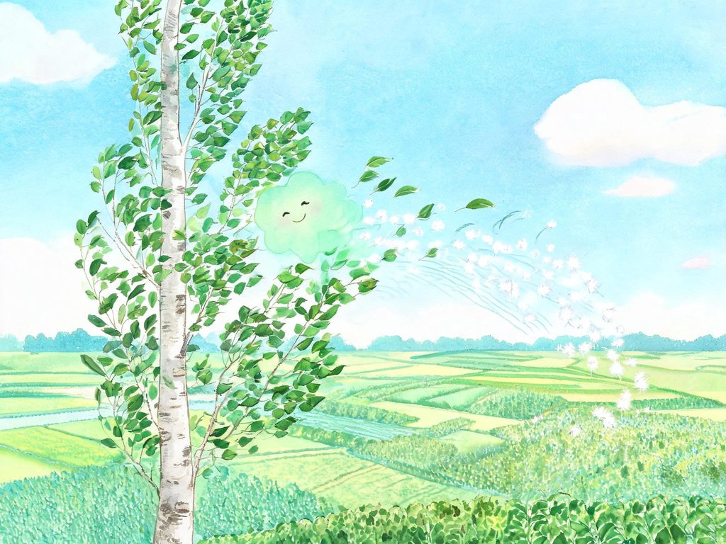 风吹白杨树、叶子哗哗响的插画