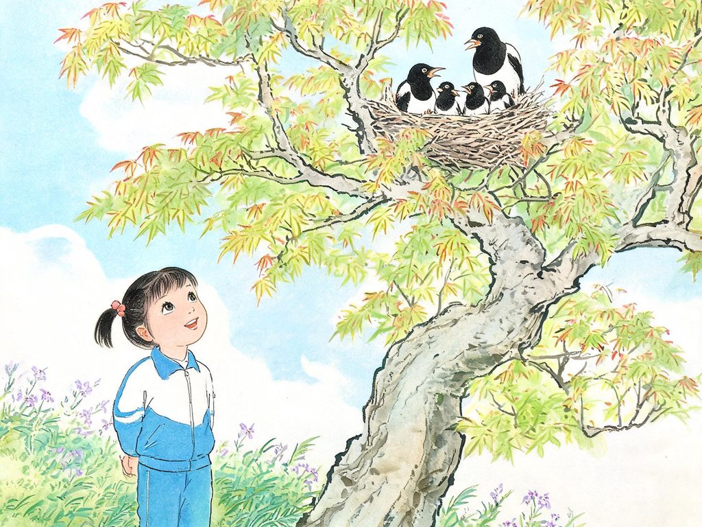 枫树上喜鹊一家和喜鹊窝的插画